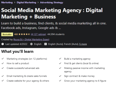 Social Media Marketing Agency All In One