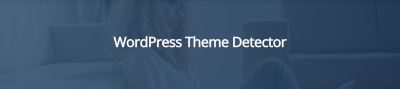 WordPress Theme Detector