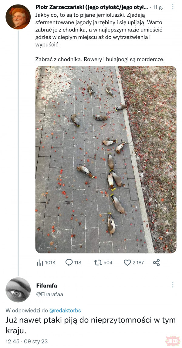 1717520117623.jpeg