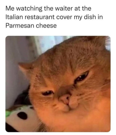 443821802_8389706884379640_1925175706628783692_n.md.jpg