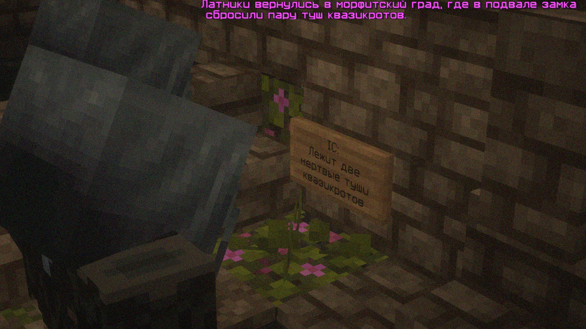 Hd6cTtq.png