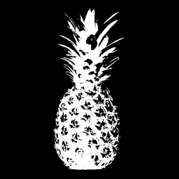 ANANAS-1c896b26c9639ab19.jpg