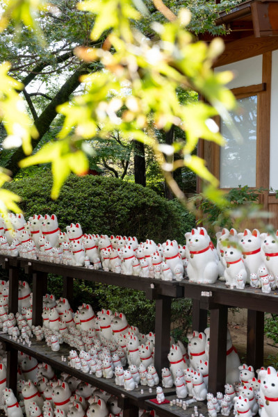 lucky cat figurines at gotokuji temple scaled