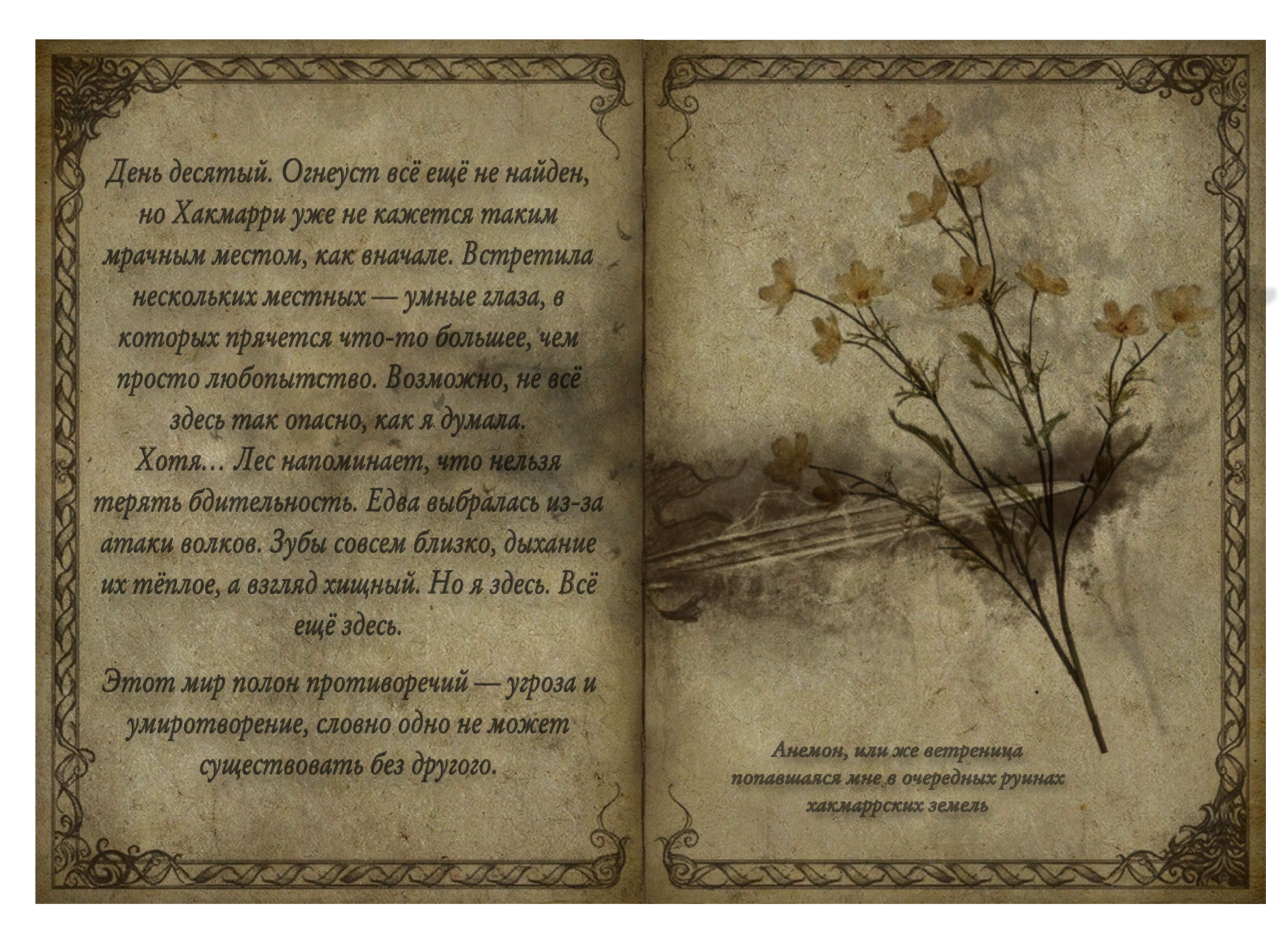 image2ca270cb89a4434d.png