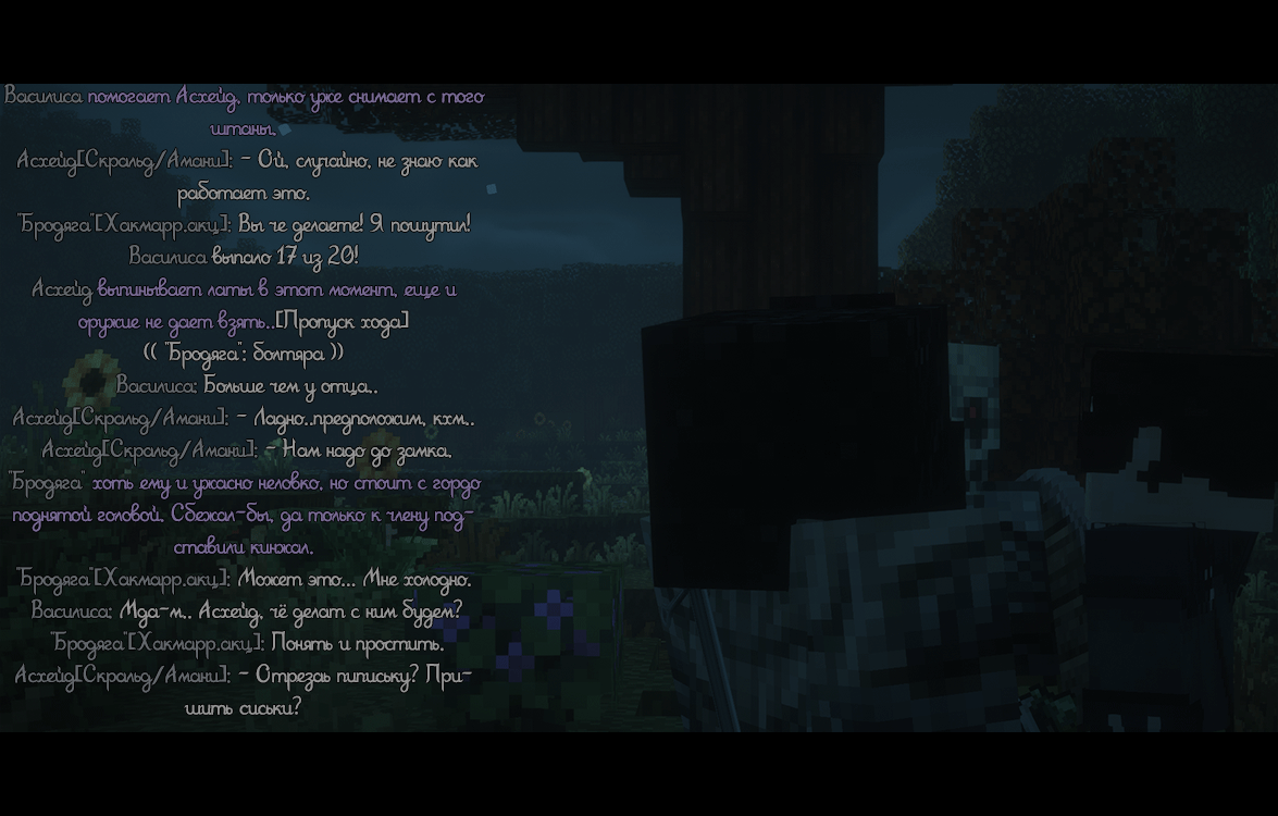 SS12.gif