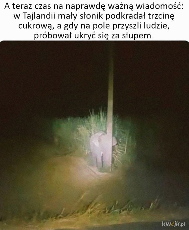 1731356351501.jpeg