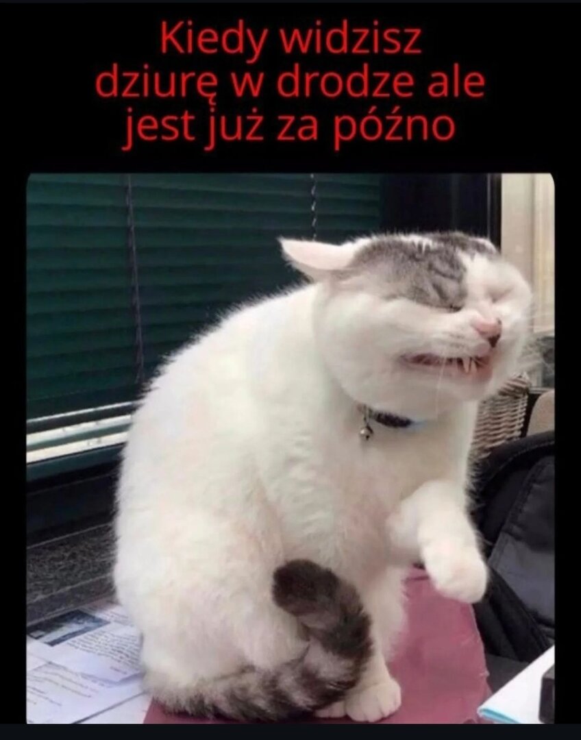 bfe2414c3a254b1cfa4a55cafac70403e7175aa6bd748b28437310790a56d9d0.jpg