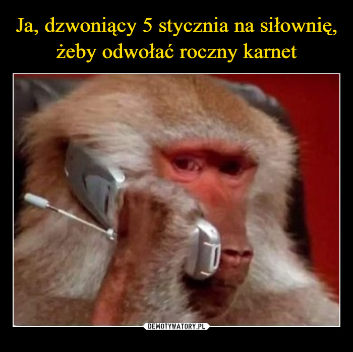 1736007785125.jpeg