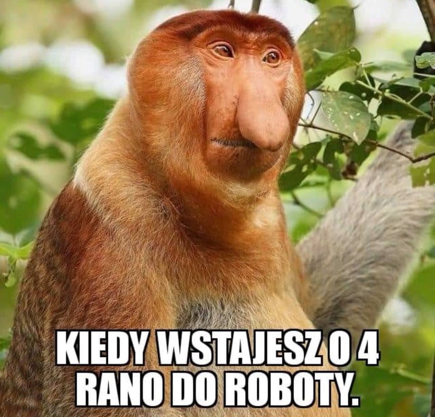 62eb9d585b2fd_o_large.jpg