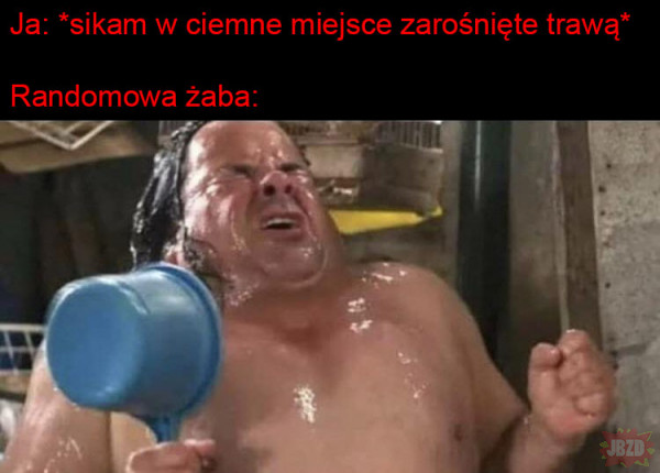 1737922848022.jpeg