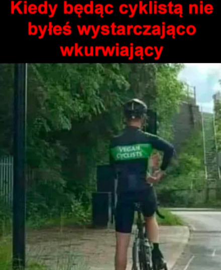 1738085309843.png