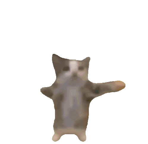 cat.gif
