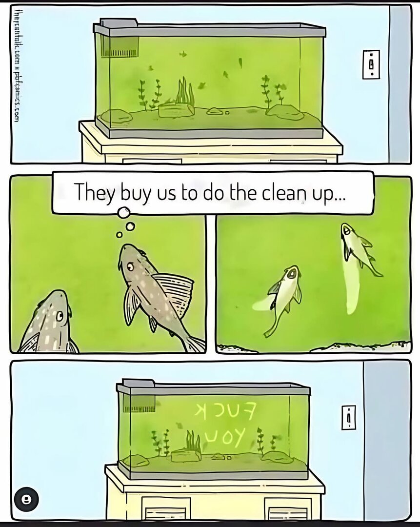 1000025372.jpg