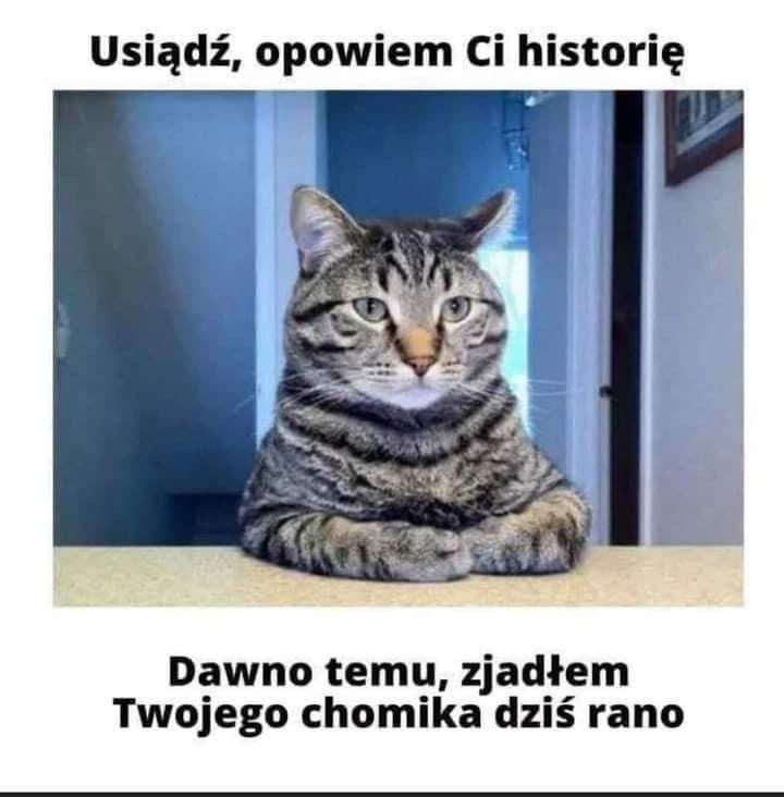 1aKik.jpg