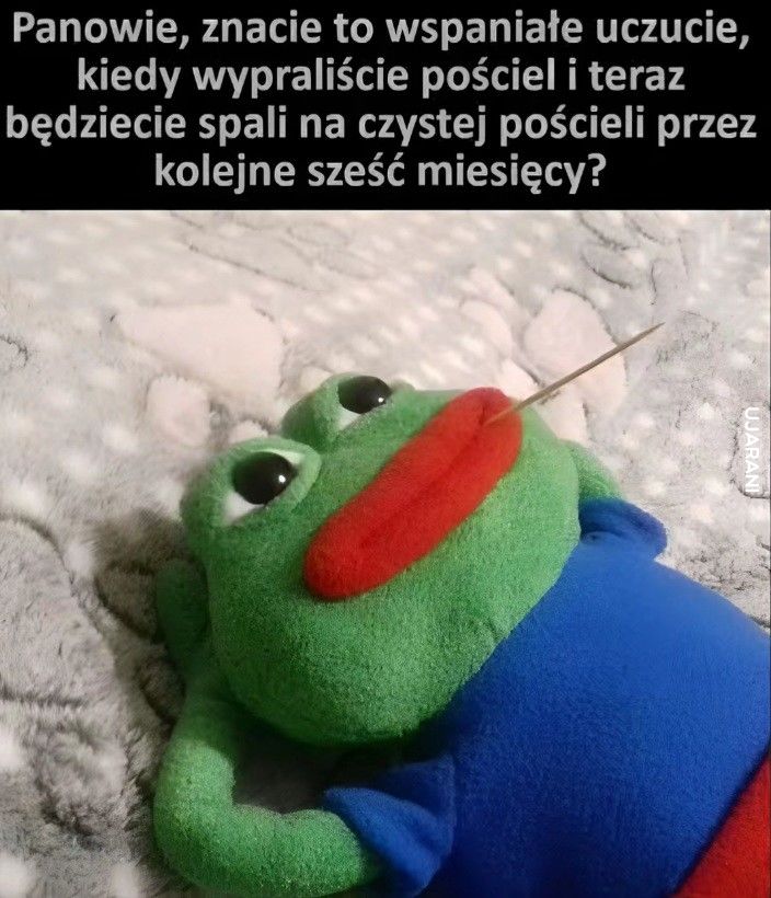 6ZkhqF.jpg