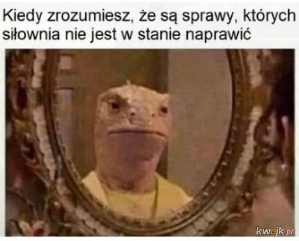 1741551501712.jpeg