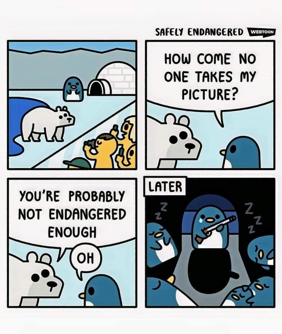 1000025722.jpg