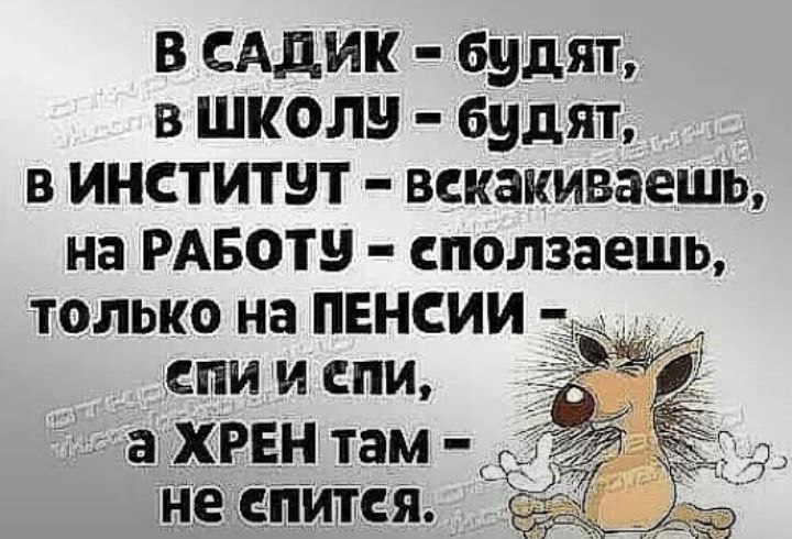 IMG_20250404_102915_995.jpg