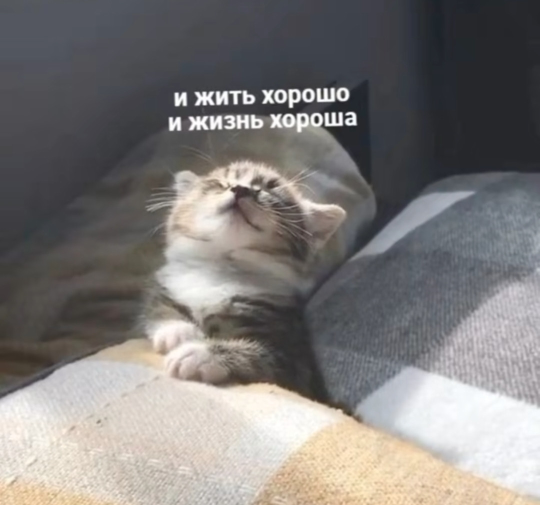 1000002300.jpg