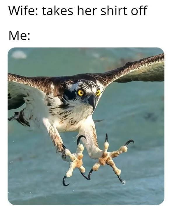 1000027638.jpg