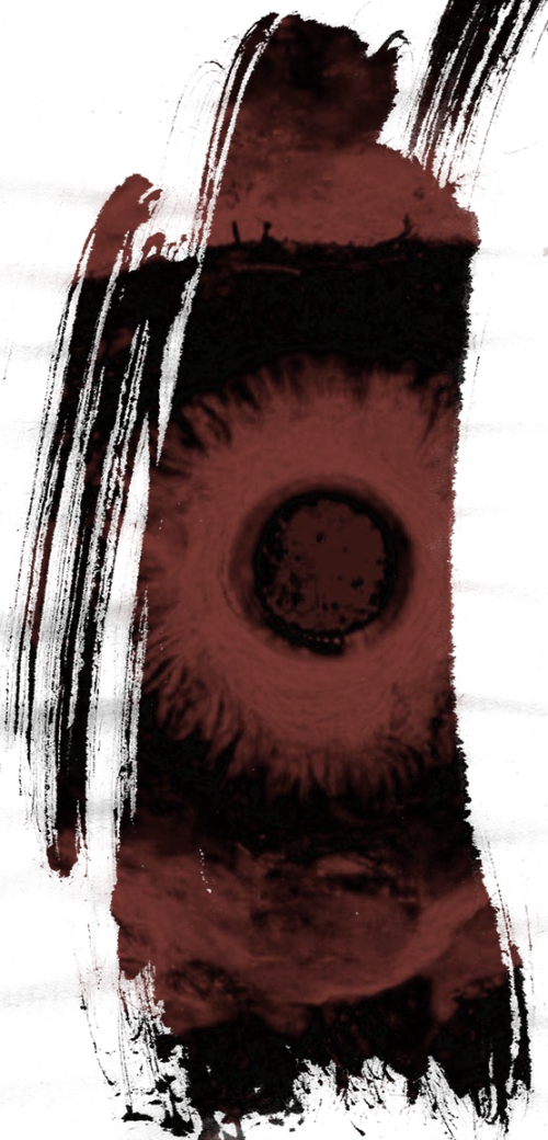 photo_2025-05-01_14-52-41.png