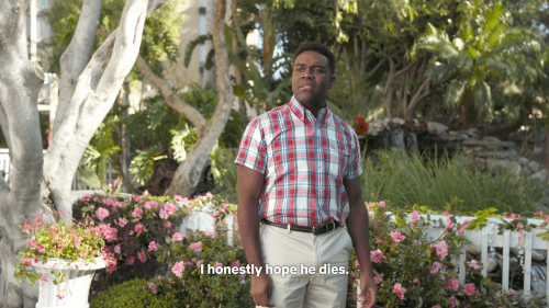 1000000921.png