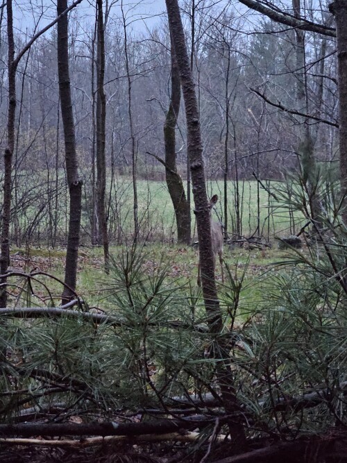 20250502_055219.jpg