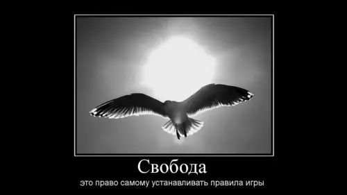 IMG_4963.webp