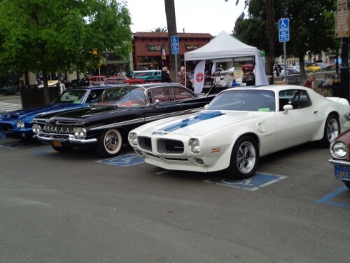 DSC05185.jpg