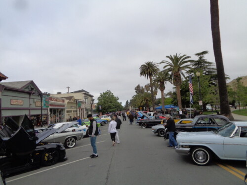 DSC05191.jpg