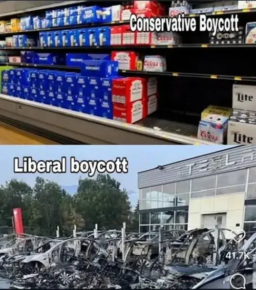 lib-boycott.webp