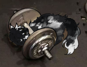 1000047636.png