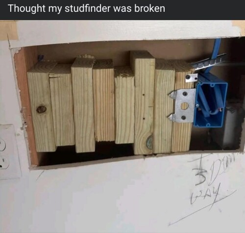 1000028220.jpg