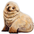 5697.png
