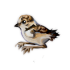5699.png