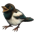 5704.png
