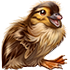 5707.png