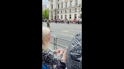 UKROGAVNOMESY.gif