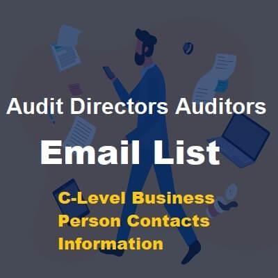 Audit-Directors-Auditors.jpg