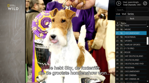 avare.kingtv.png