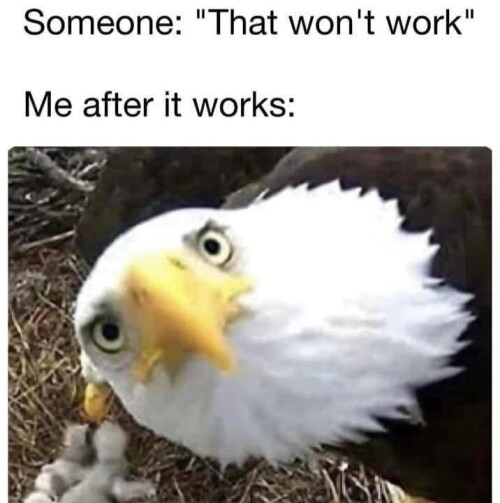 940957-ab3fb114c093dcc4eb0d01aff0d167e6.data.jpeg