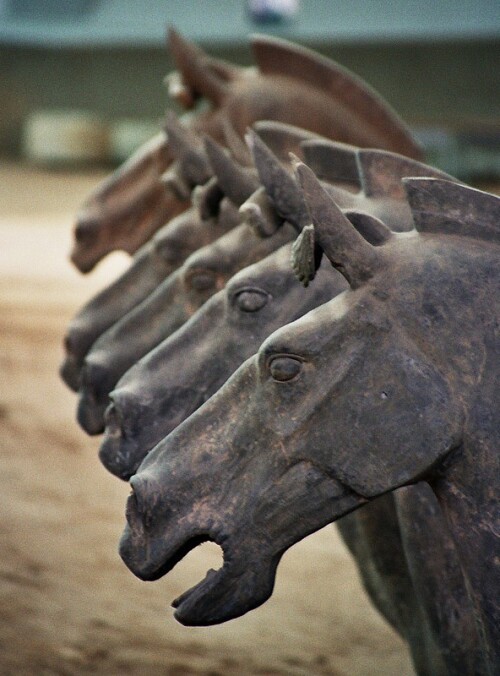 XianHorses.jpg