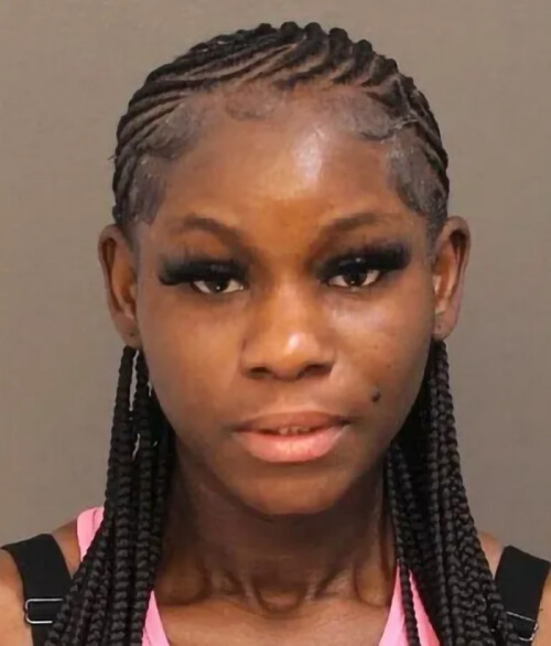 woman-faces-long-sentence-filming-animal-cruelty-for-likes-681e471acabe0-png__700.jpg