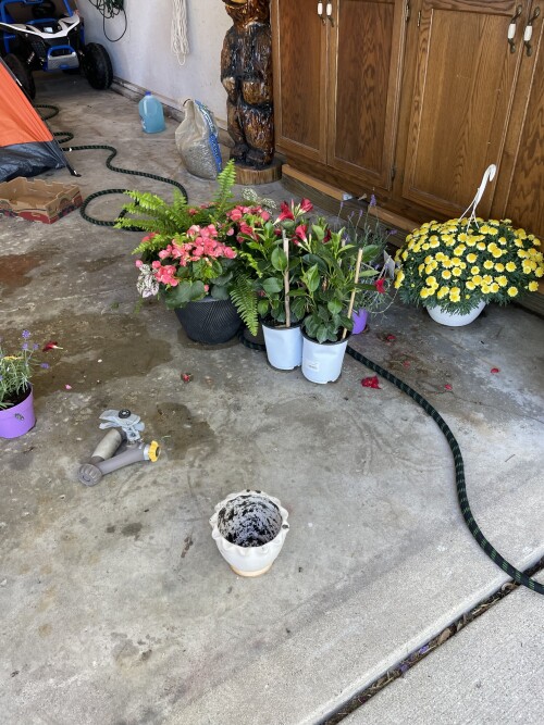 IMG_0979.jpeg