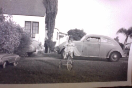 Image-5-11-25-at-8.00AMc6848b61ad093c65.jpeg