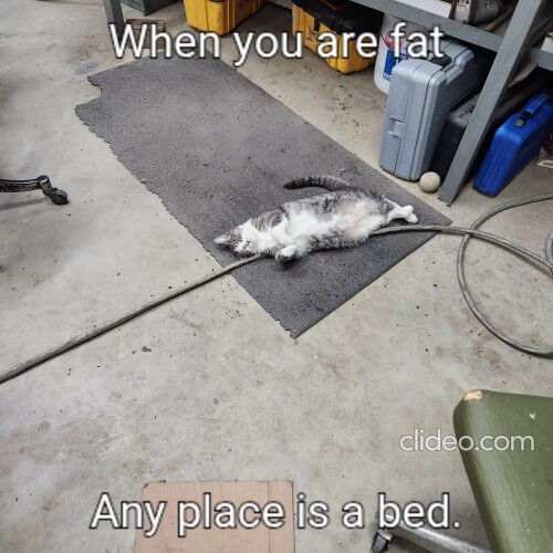 1000018377c43b5d5b91e2a511.jpg