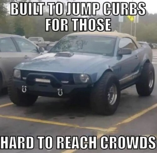 1000028532.jpg