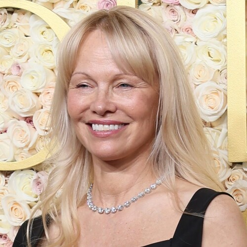 golden-globes-2025-pamela-anderson-son-red-carpet-reaction1-677bf9714110cd845d1f2f24f993b.jpg