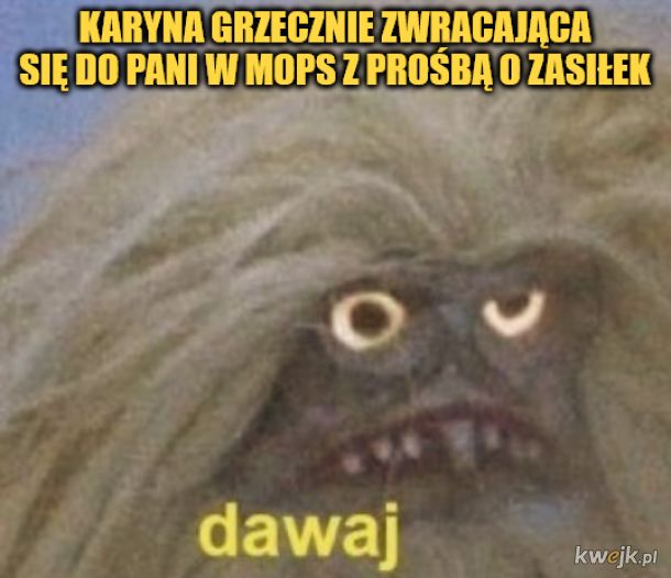 Wf42GOSC8EwA9FBW.jpg