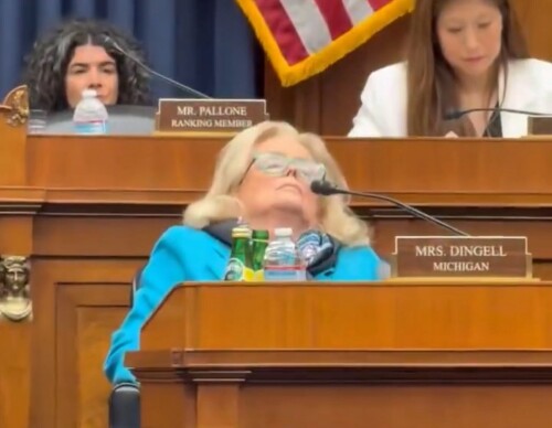 dingel-asleep.jpeg